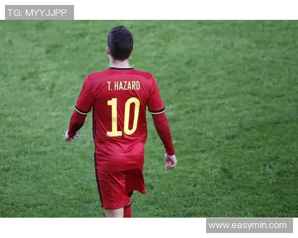 埃及与比利时精彩对决视频回顾及赛后分析分享