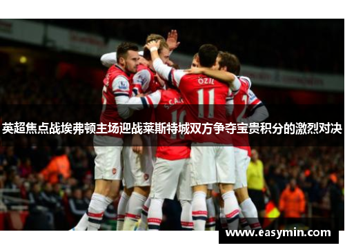 英超焦点战埃弗顿主场迎战莱斯特城双方争夺宝贵积分的激烈对决